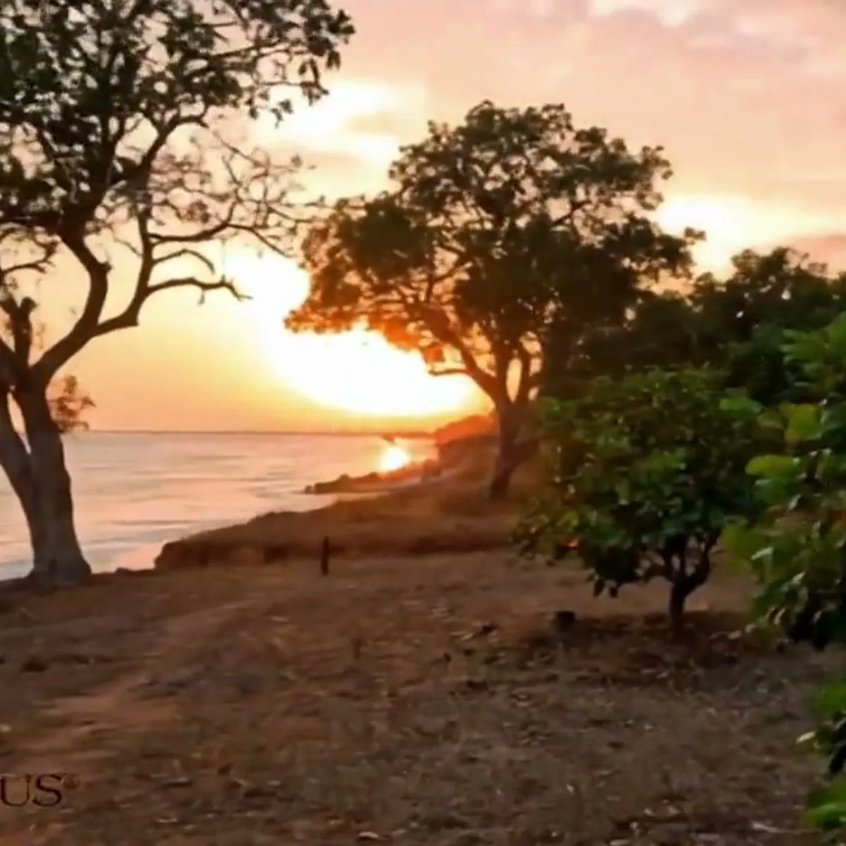 Tramonto sulla costa della Guinea Bissau